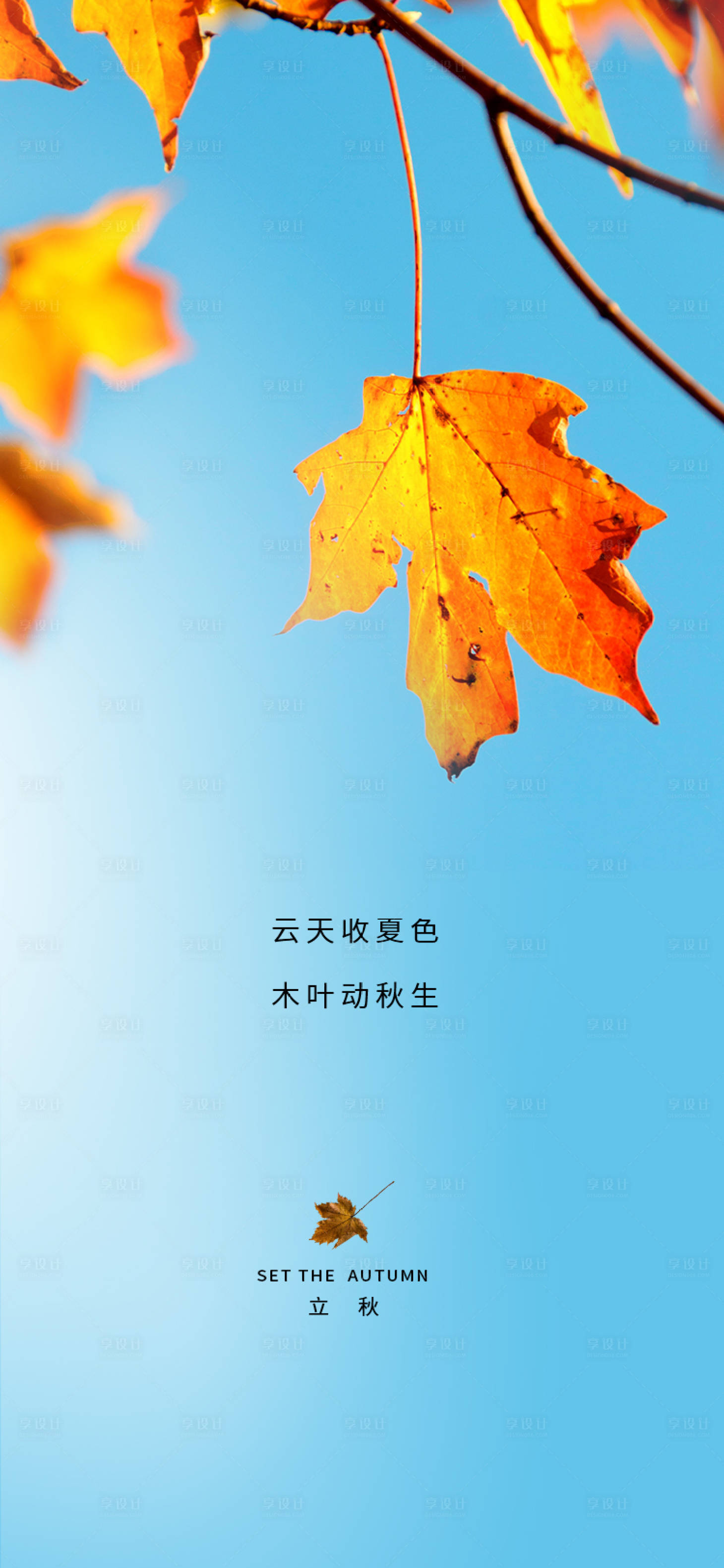 源文件下載【享設(shè)計(jì)】搜索編號(hào)：31650001498713933【立秋海報(bào)】