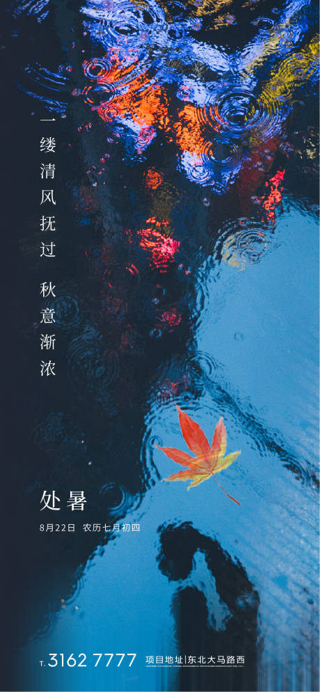 源文件下载【处暑海报】编号：13600001457427392