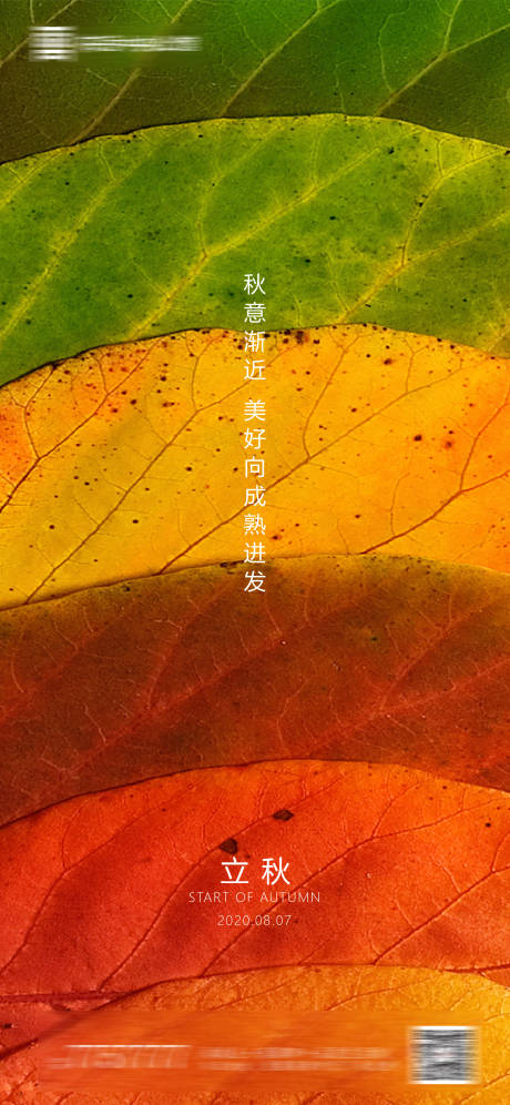 源文件下载【地产立秋节气海报】编号：13130001428923558
