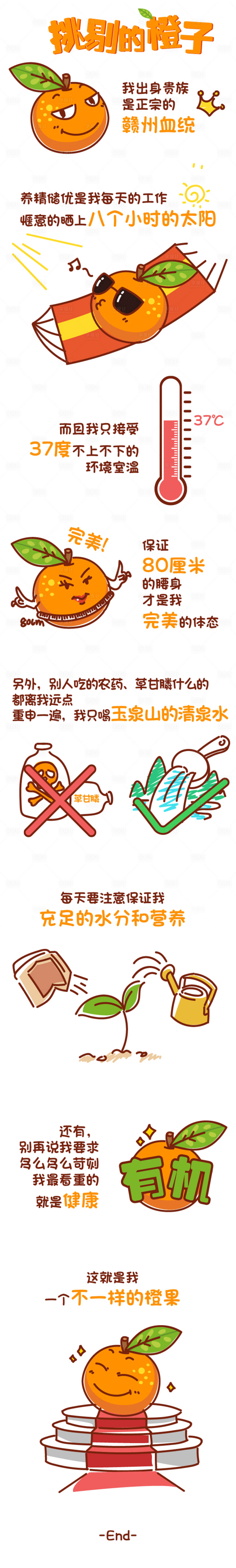 源文件下載【享設計】搜索編號：27030001316211164【橙子水果生鮮促銷微信長圖】