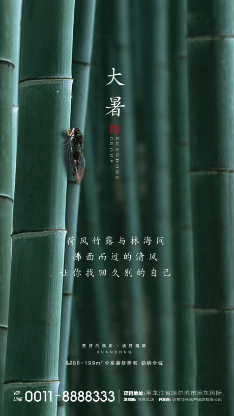 源文件下载【大暑微信】编号：60820001384858205