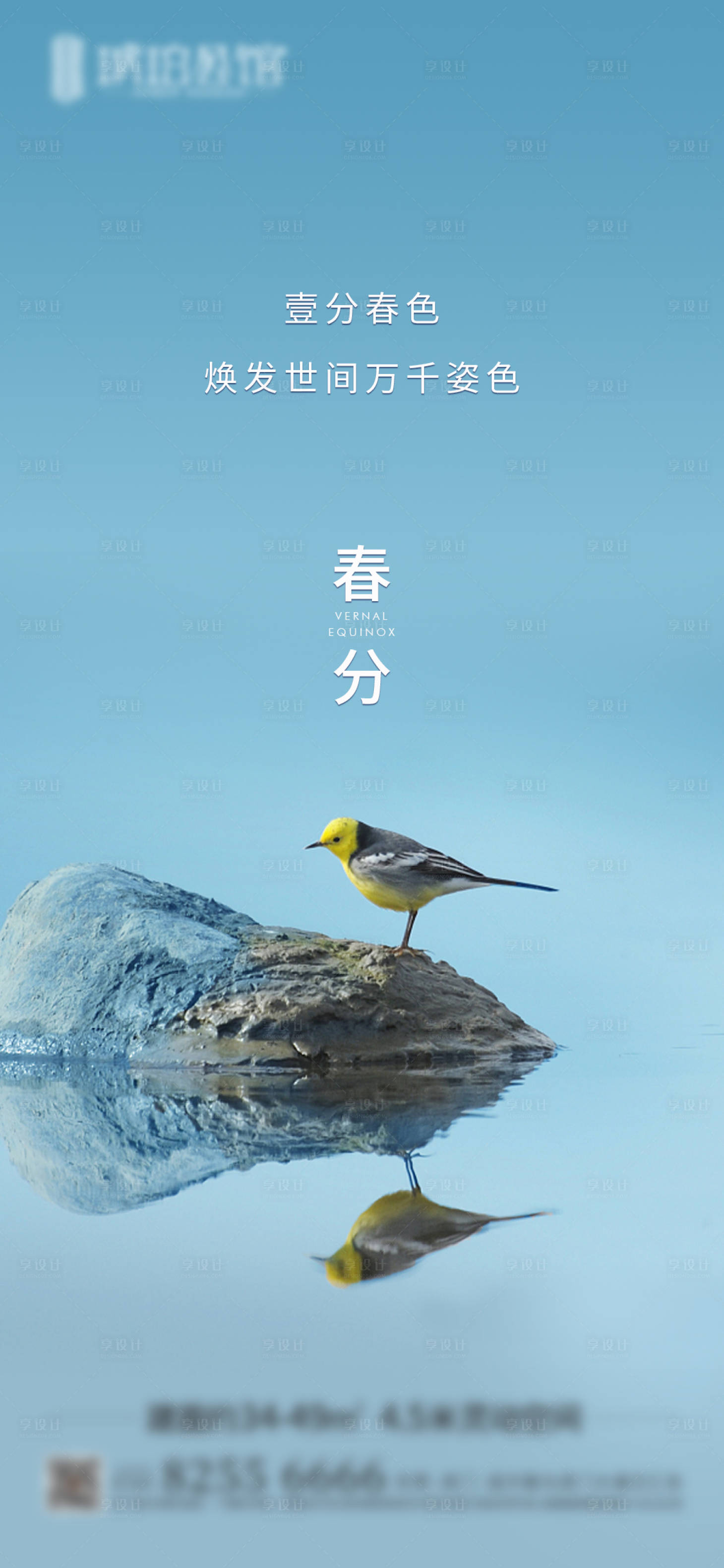 源文件下载【春分海报】编号：20240001318562955