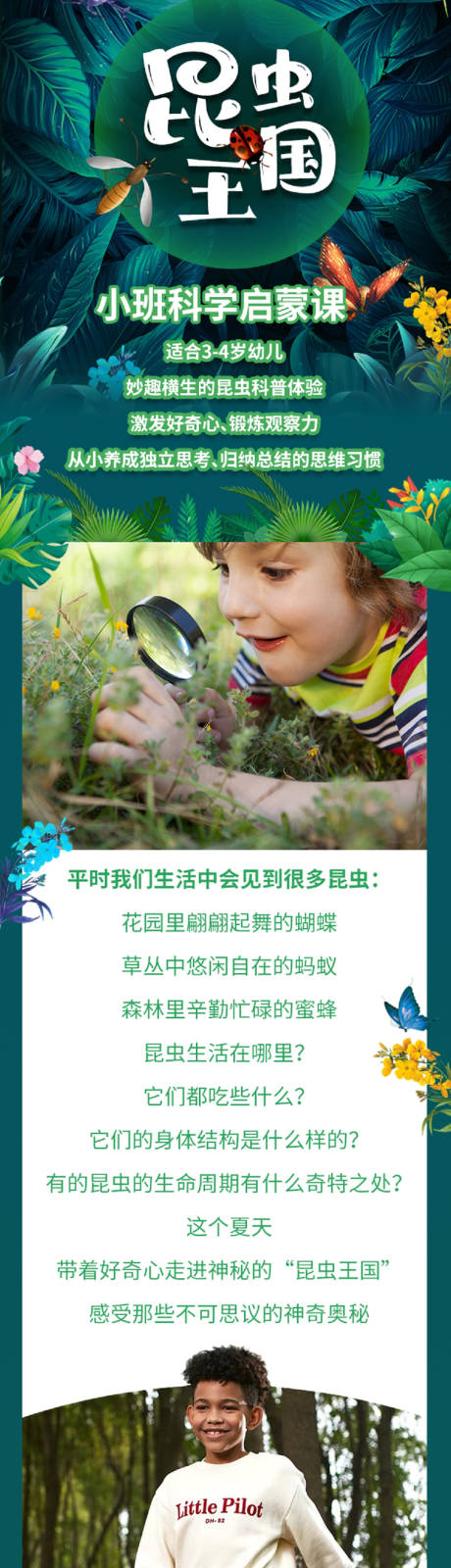 源文件下载【享设计】搜索编号：67850001440436598【昆虫长图】