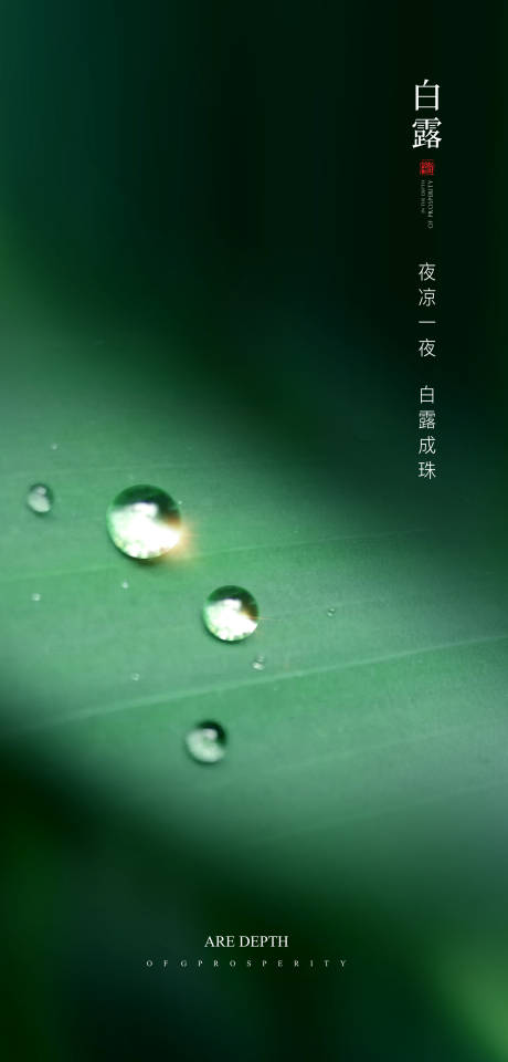 源文件下载【享设计】搜索编号：27380001376721844【节气海报】