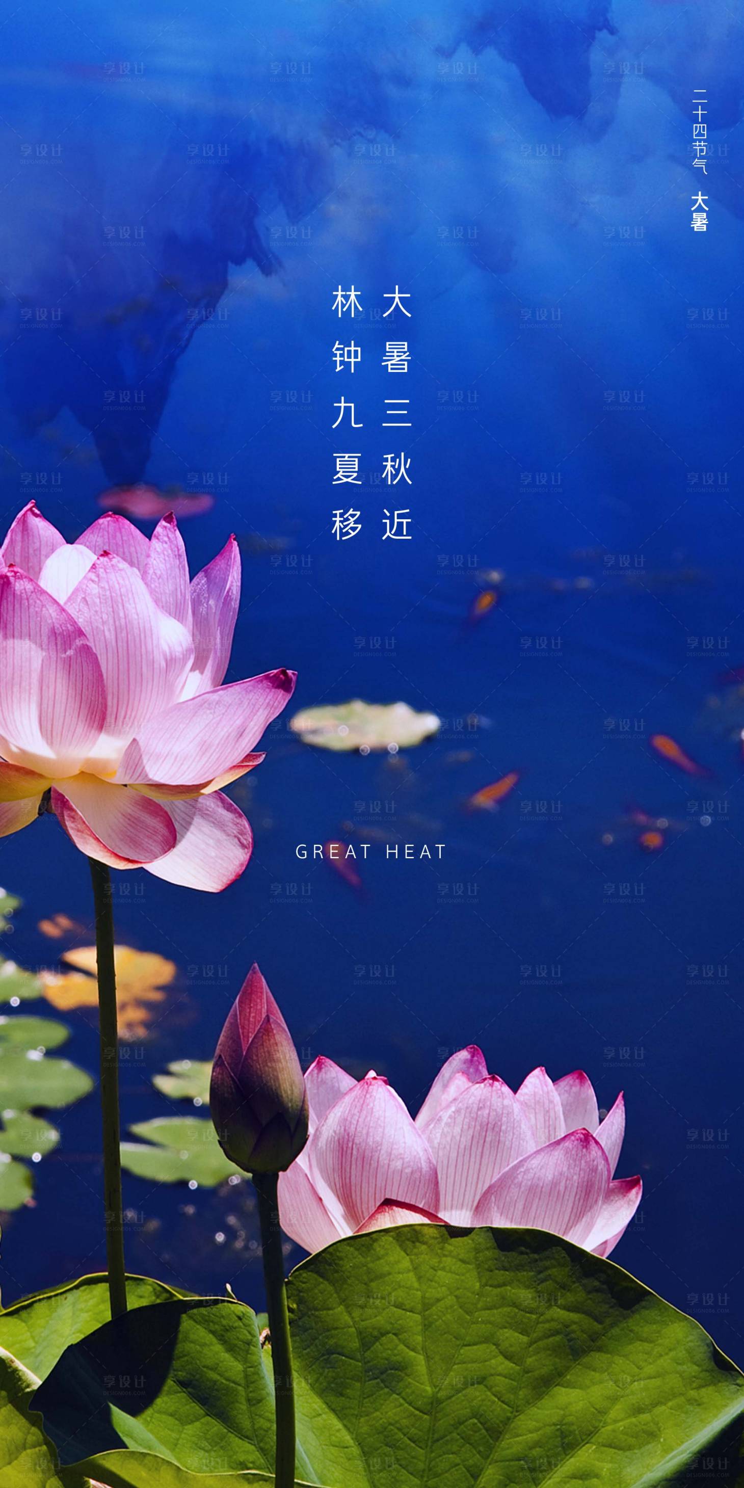 源文件下載【荷花大暑節氣海報】編號：70510001313979170