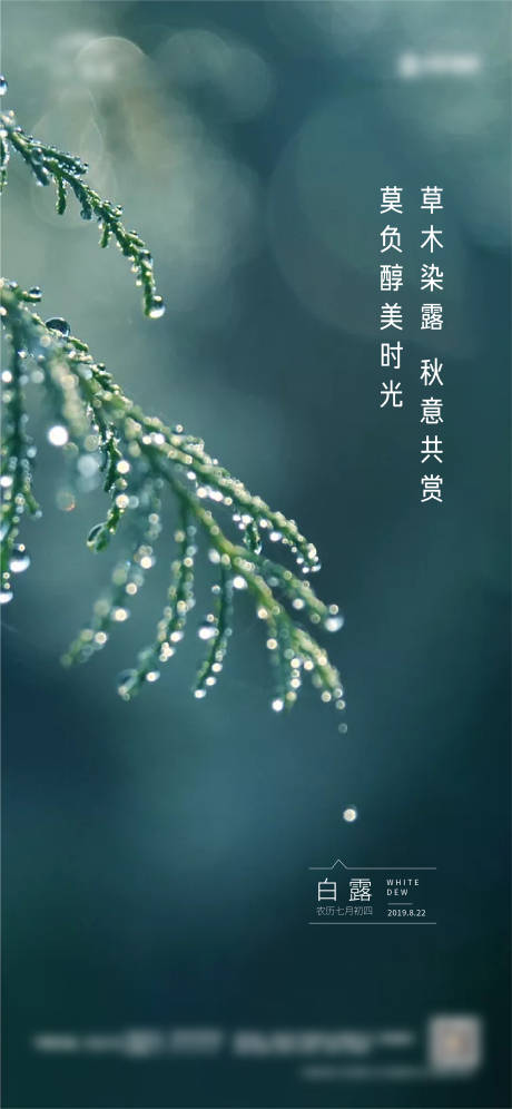 源文件下载【白露节气移动端海报】编号：64180001482352396