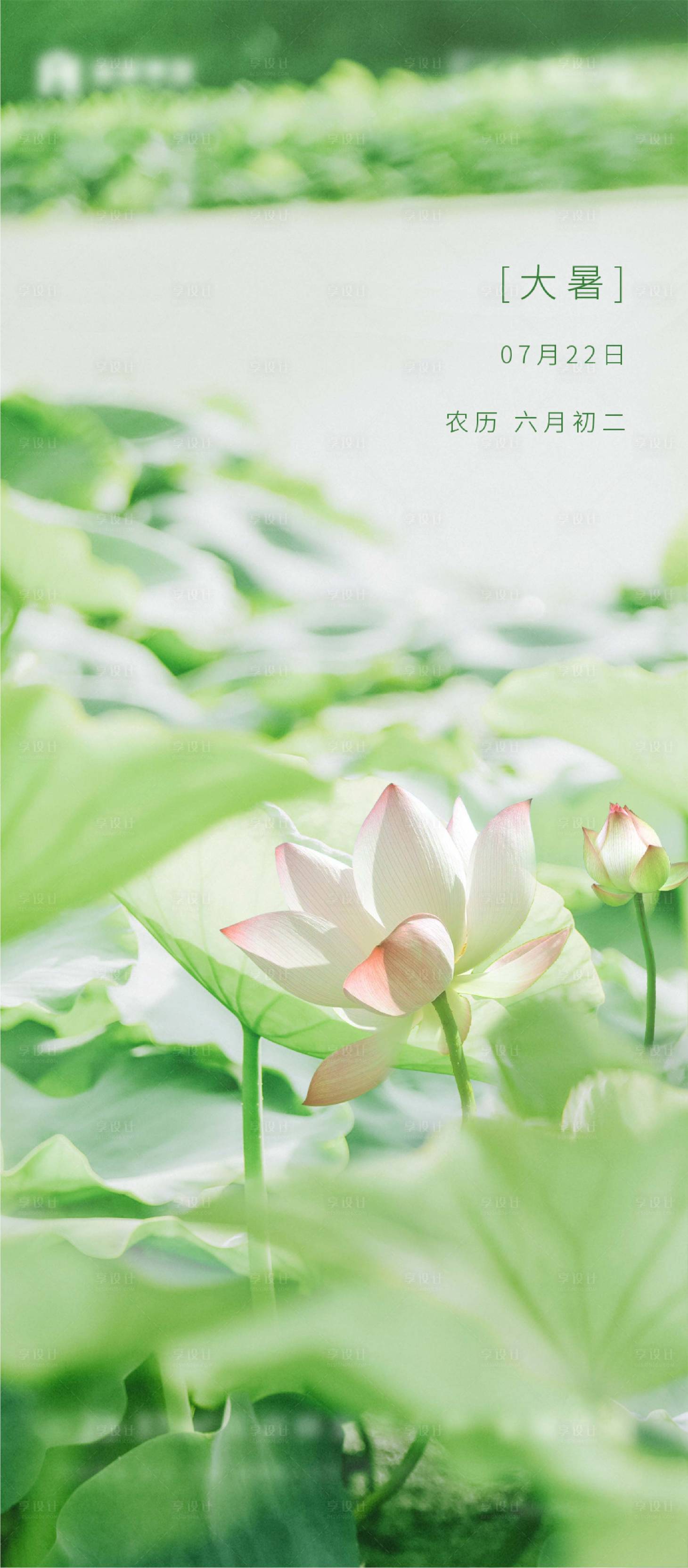 源文件下載【享設(shè)計(jì)】搜索編號(hào)：74270001449733765【大暑節(jié)氣海報(bào)】