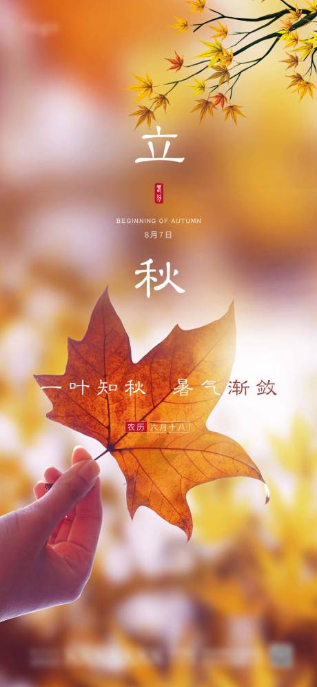 源文件下载【立秋节气海报】编号：89680001481967604