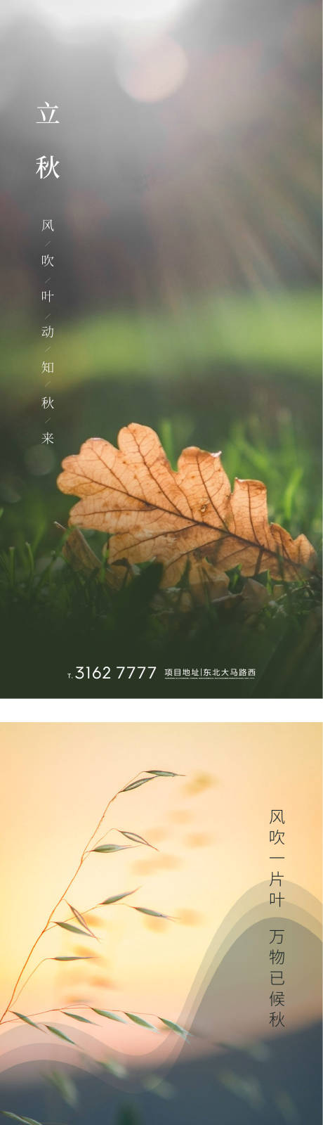 源文件下载【立秋节气海报系列】编号：42200001446458127