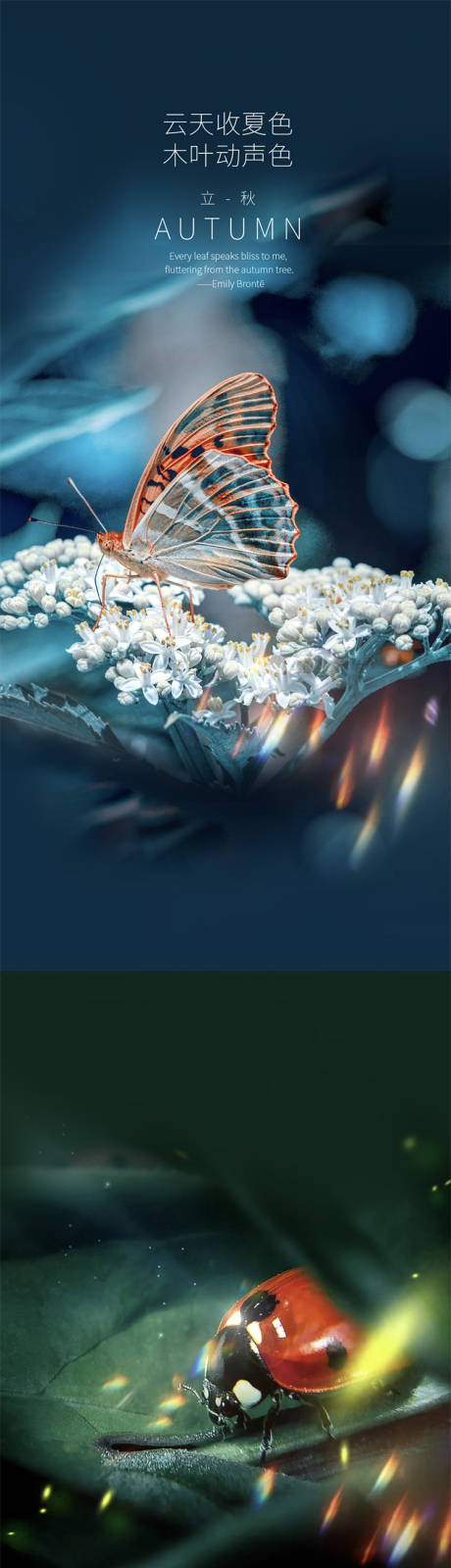源文件下載【享設計】搜索編號：90630001459877641【立秋節氣清新系列海報】