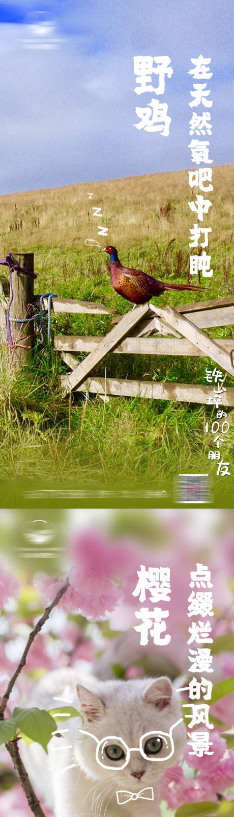 源文件下载【万物萌动系列海报】编号：82290001512466272