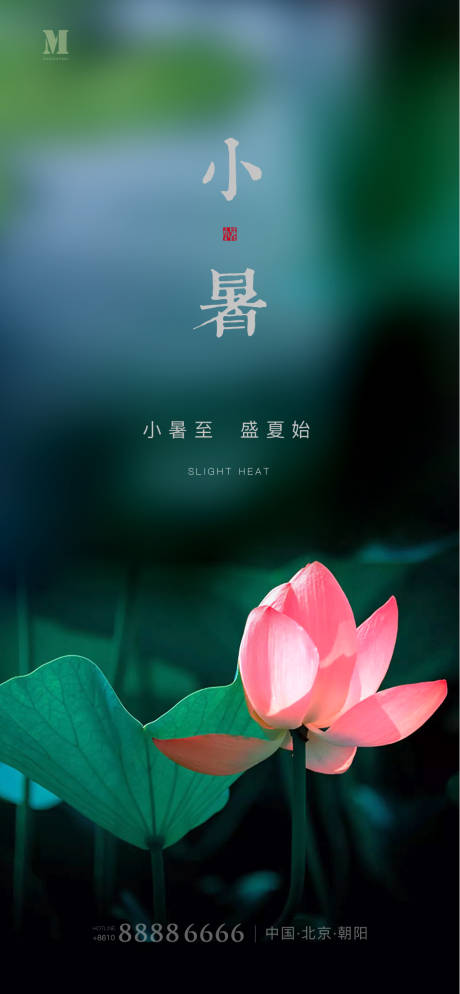 源文件下载【小暑节气移动端海报】编号：90620001302951322