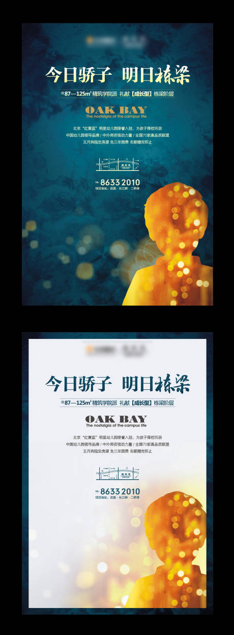 源文件下載【房地產價值點教育系列海報】編號：33910001682022549