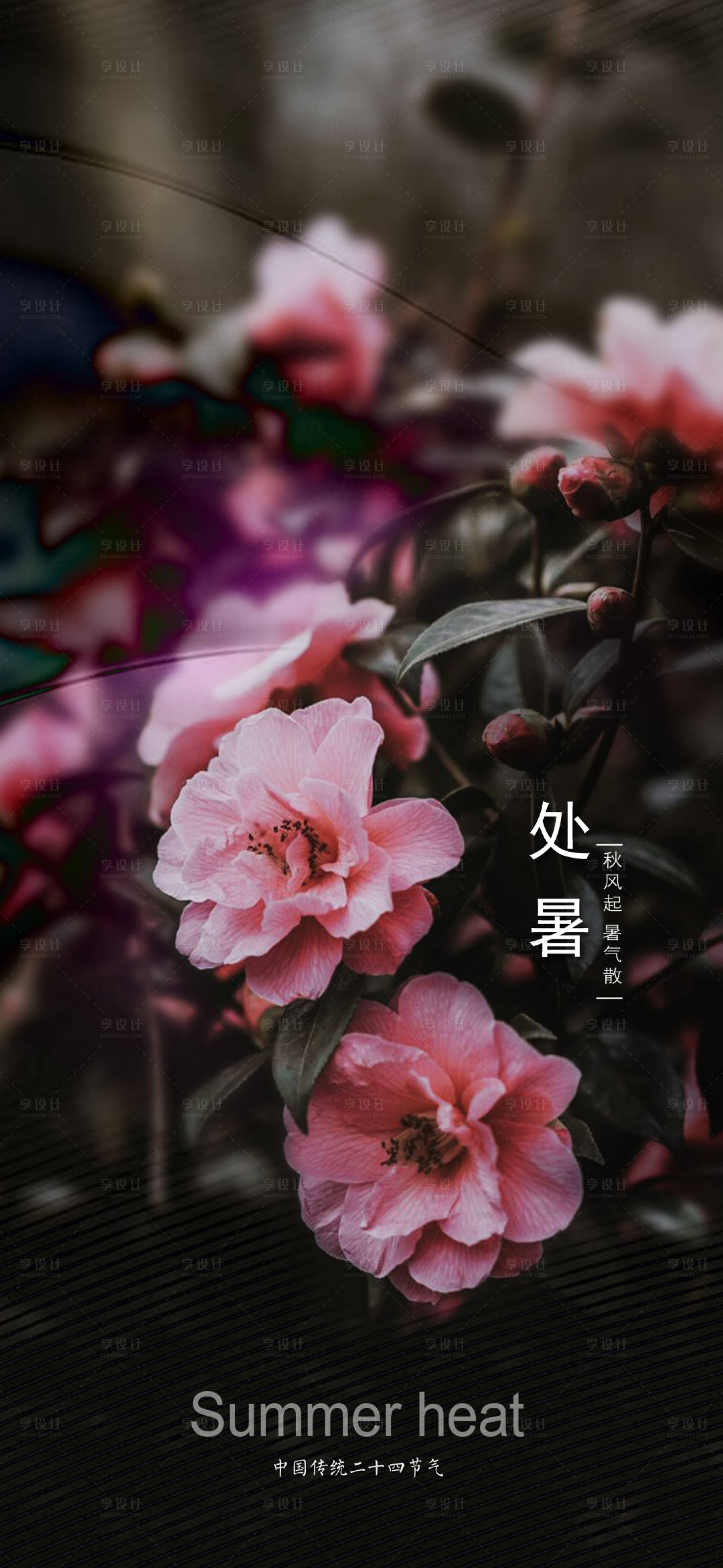 源文件下载【处暑花景海报】编号：71600001565872957