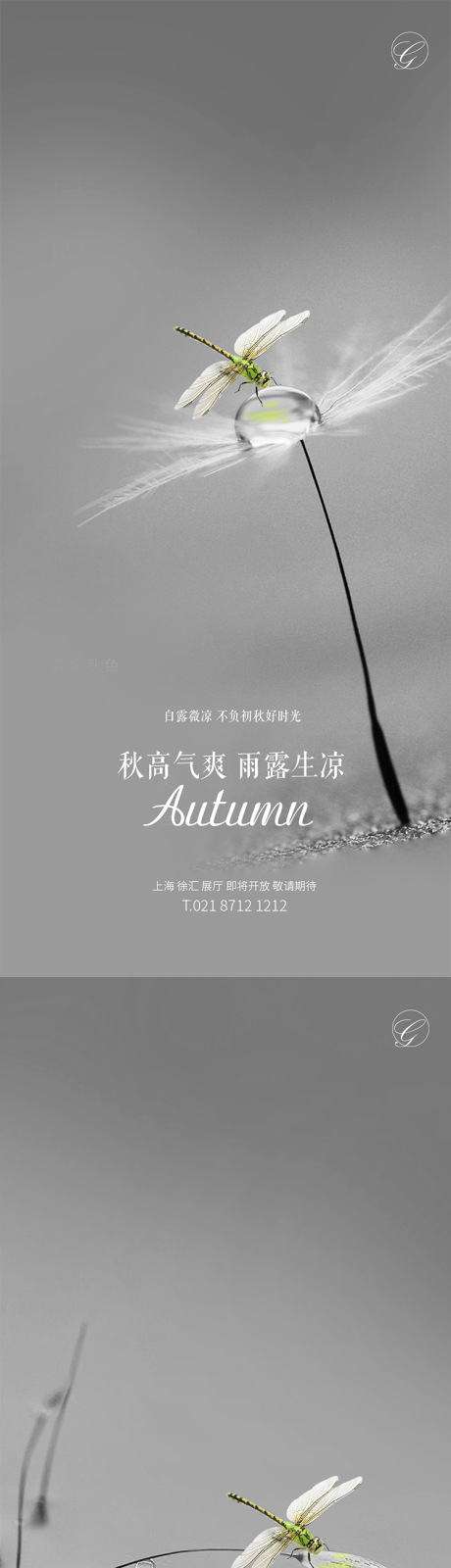 源文件下载【白露蜻蜓点水系列稿】编号：30530001776055452