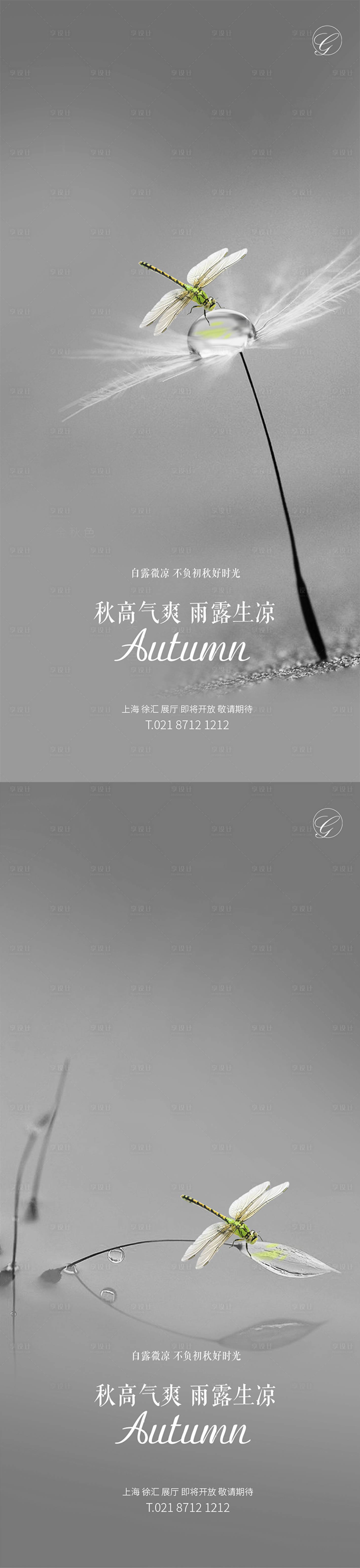 源文件下載【享設(shè)計(jì)】搜索編號：30530001776055452【白露蜻蜓點(diǎn)水系列稿】