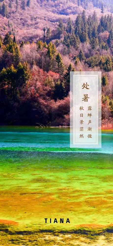 源文件下載【享設計】搜索編號：32650001696809489【處暑節氣移動端海報】