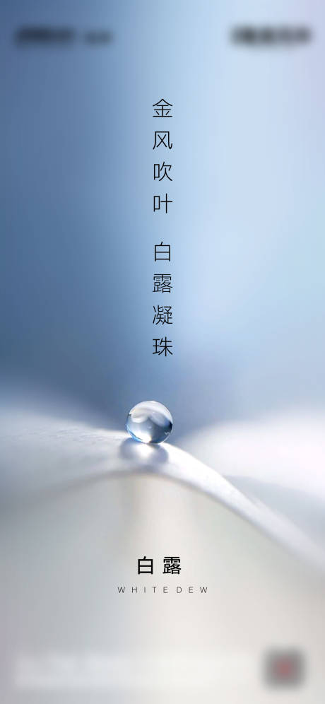 源文件下載【享設計】搜索編號：73750001820262676【地產白露刷屏水珠】