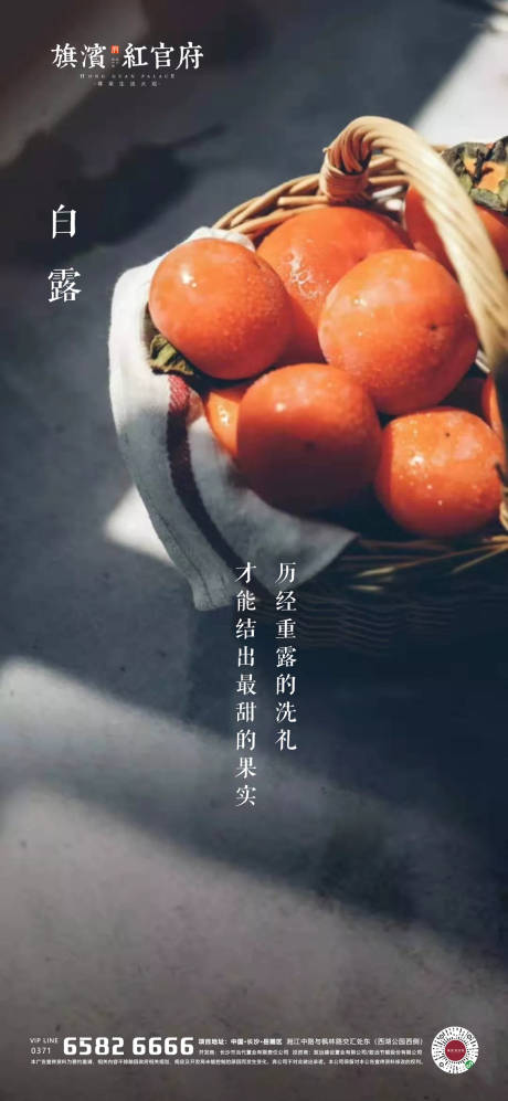 源文件下载【地产白露节气海报】编号：82730001747088771