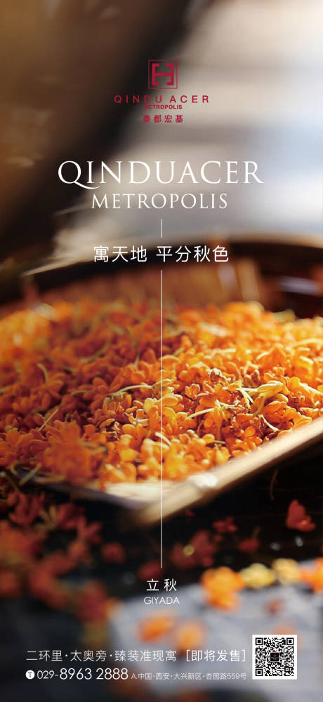 源文件下载【二十四节气立秋 】编号：24160001602211044