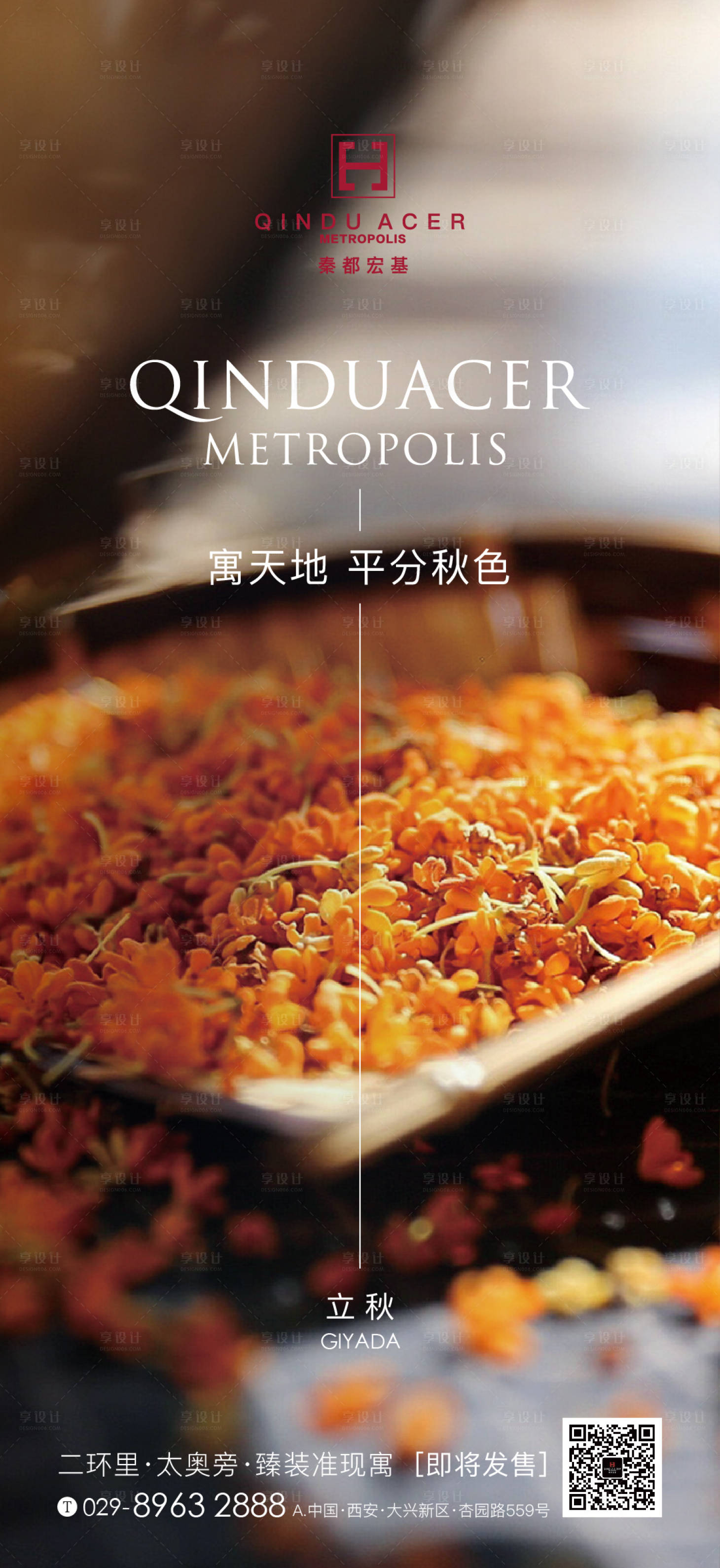 源文件下載【享設(shè)計(jì)】搜索編號(hào)：24160001602211044【二十四節(jié)氣立秋 】