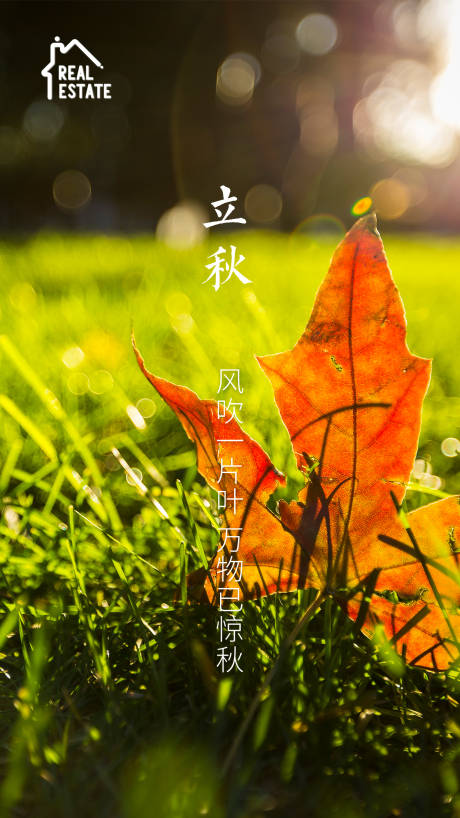 源文件下载【立秋节气海报】编号：27120001597324679