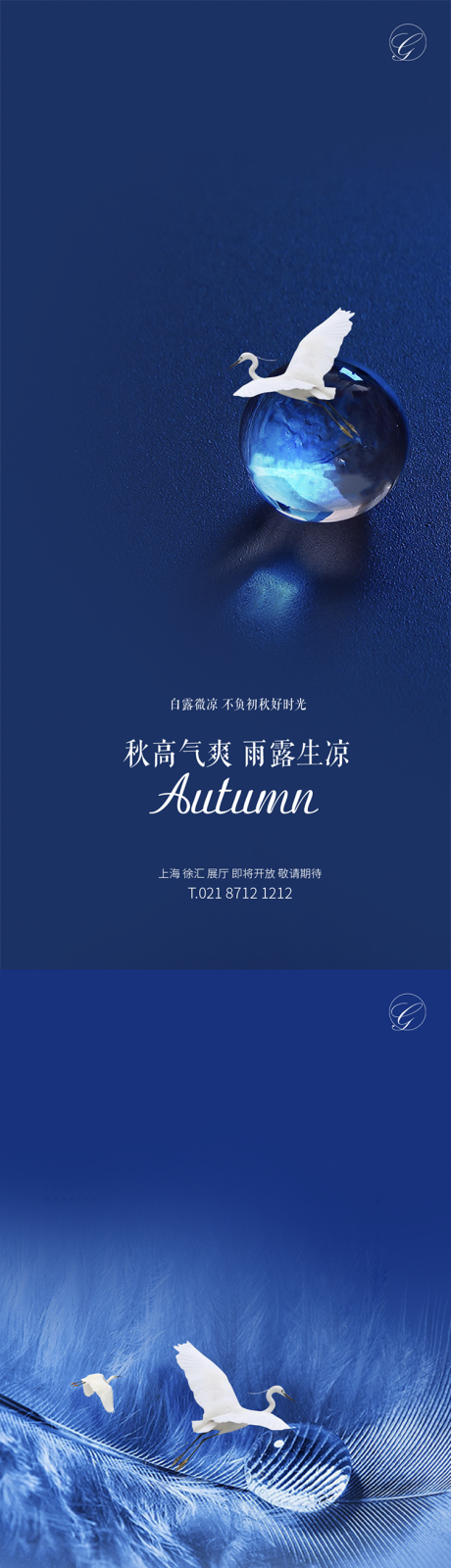 源文件下载【白露节气系列稿】编号：50860001692868253