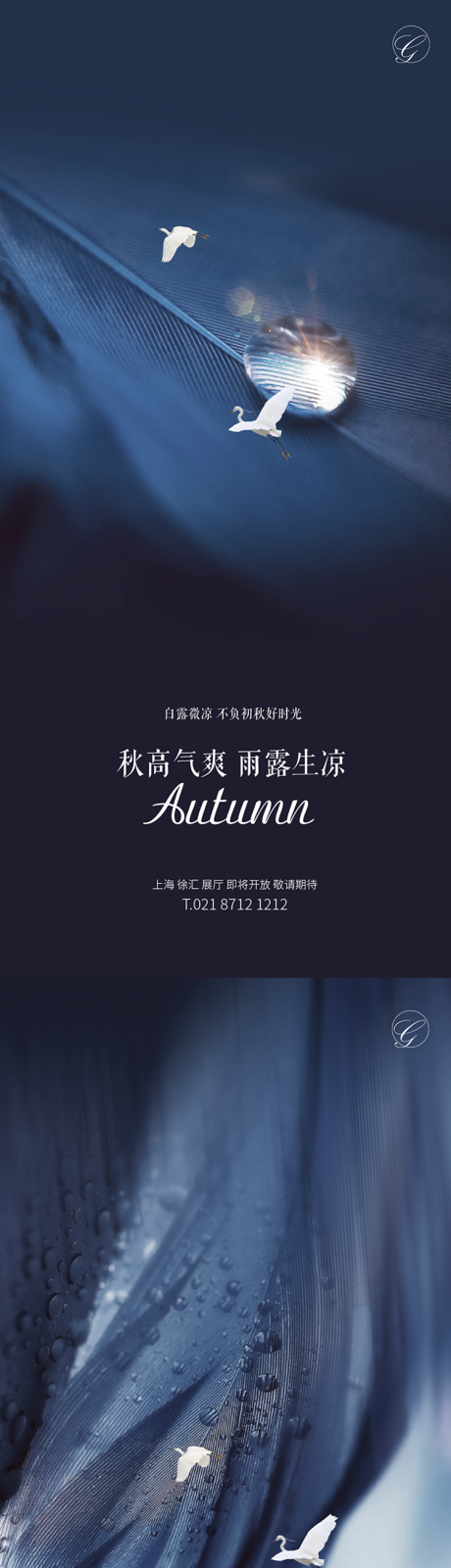 源文件下载【白露鹭飞系列稿】编号：71340001776019027