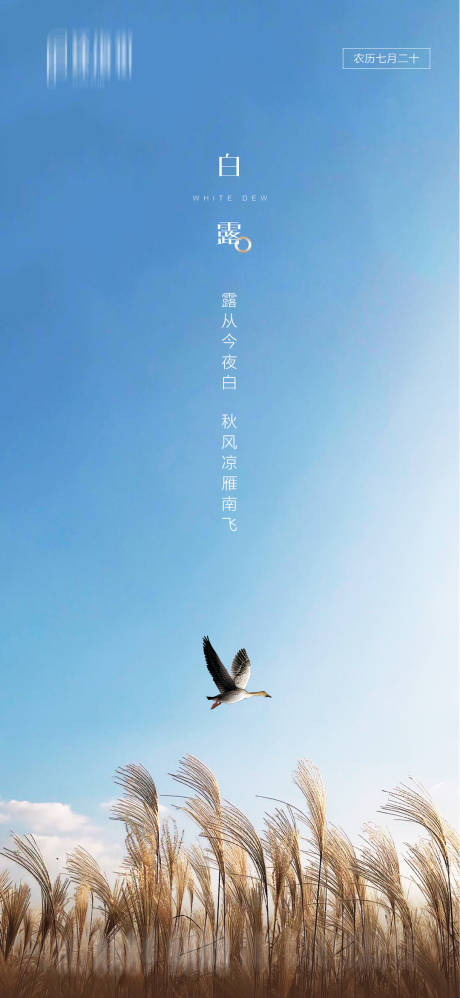 源文件下載【地產白露節氣海報】編號：69990001731042996
