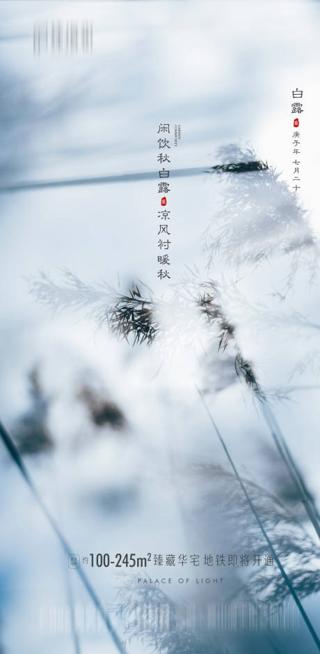 源文件下载【地产白露节气海报】编号：69370001730983700