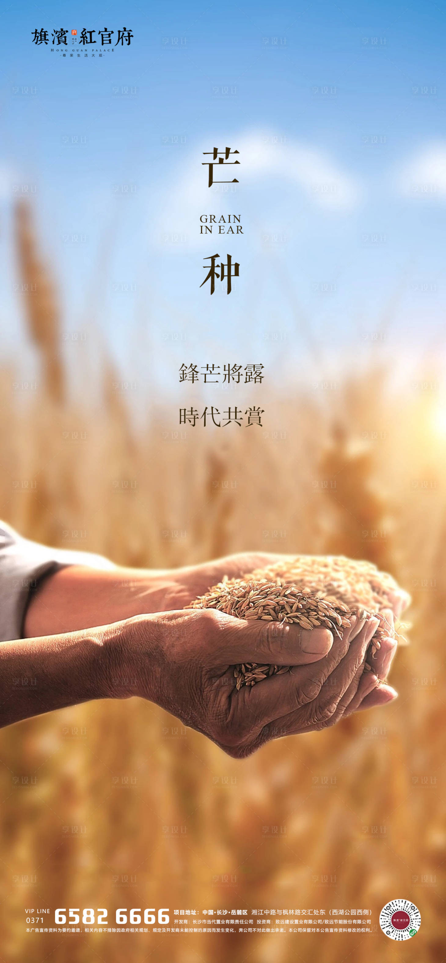 源文件下载【享设计】搜索编号：61740001673816298【芒种节气海报】