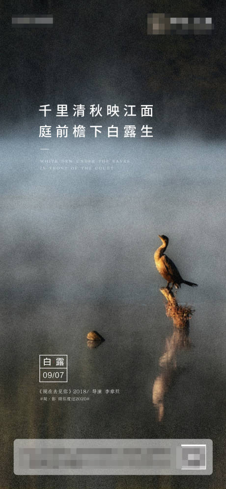 源文件下载【白露节气移动端海报】编号：73320001826378344