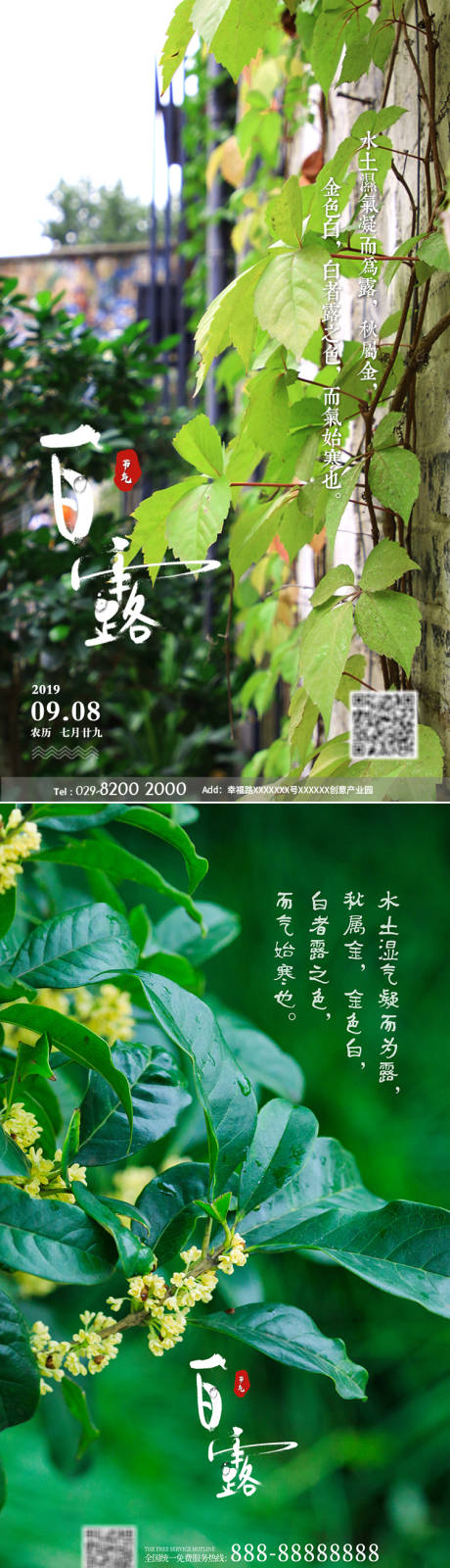 源文件下载【享设计】搜索编号：94490001645443794【地产白露节气海报】
