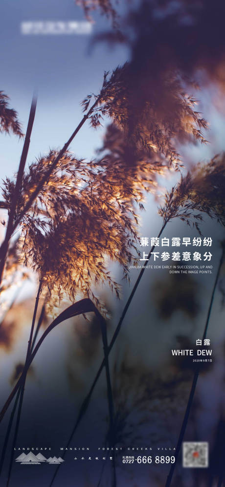 源文件下载【享设计】搜索编号：81750001704696184【白露节气移动端海报】