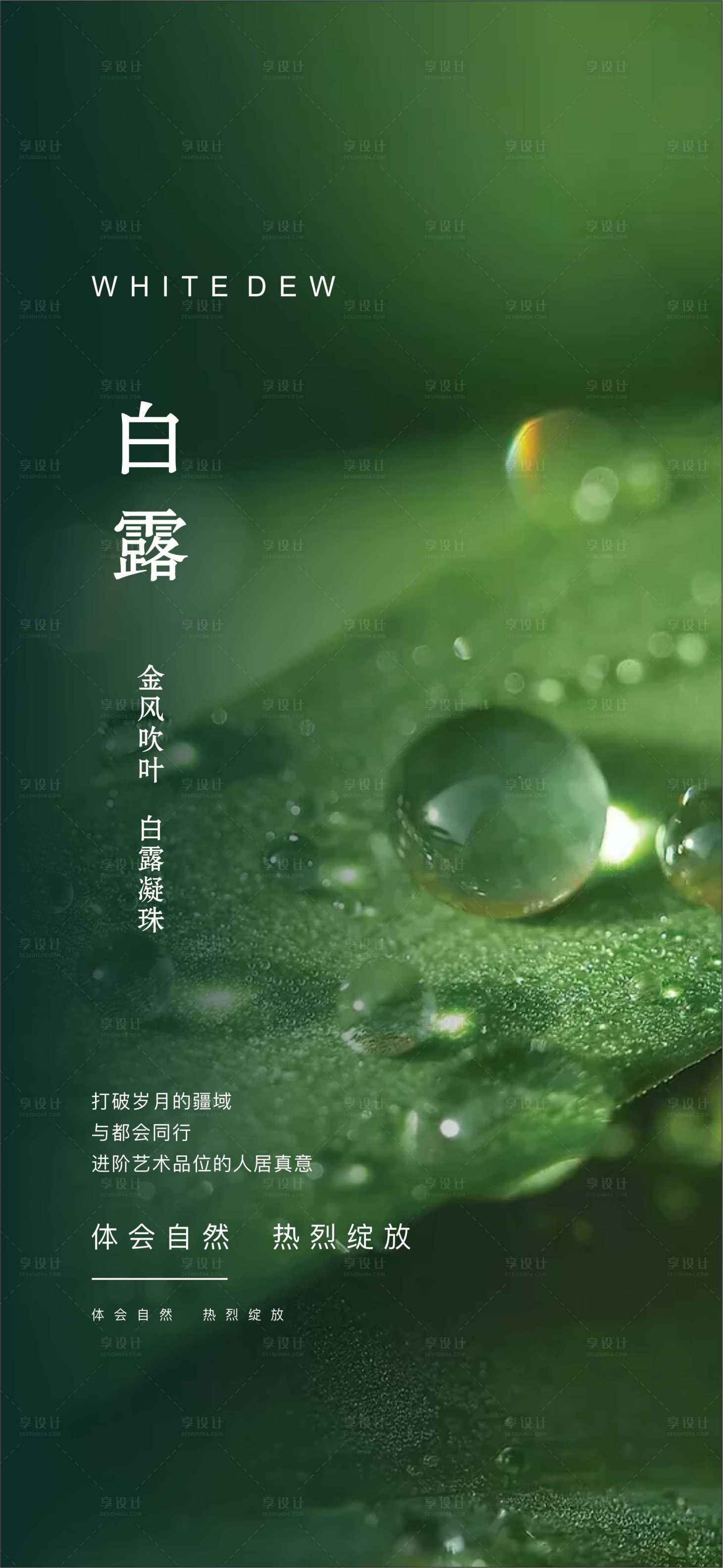 源文件下载【白露节气海报】编号：39040001796949246