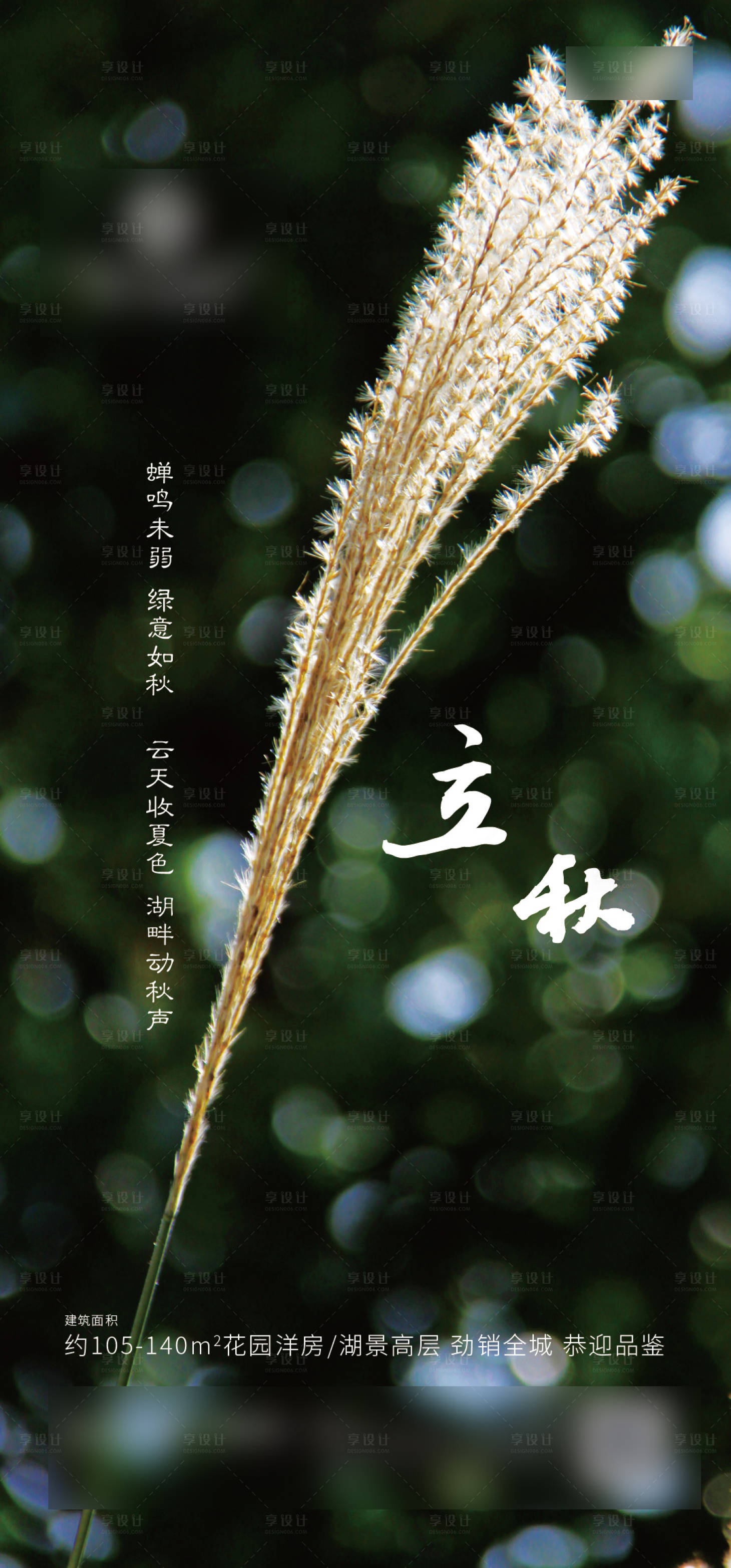 源文件下载【立秋节气单图海报】编号：52870001593795228