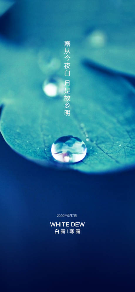 源文件下载【白露寒露海报】编号：57590001811352895