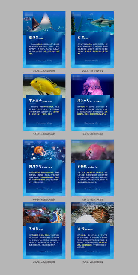 源文件下载【海洋生物分类海报】编号：20200814144049469