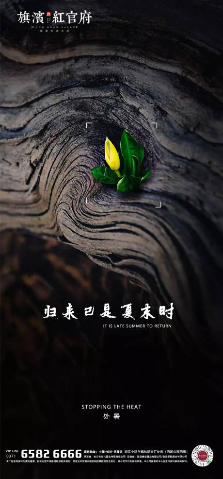 源文件下載【享設計】搜索編號：48980001623301658【處暑節氣海報】