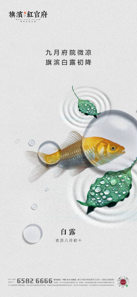 源文件下载【享设计】搜索编号：25170001822794757【地产白露节气海报】