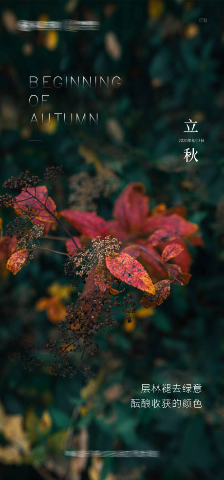 源文件下载【立秋海报】编号：63120001575536655