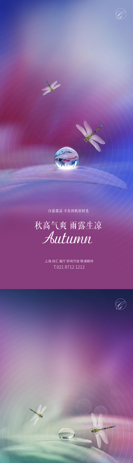源文件下載【白露蜻蜓炫彩系列海報】編號：17790001776098081