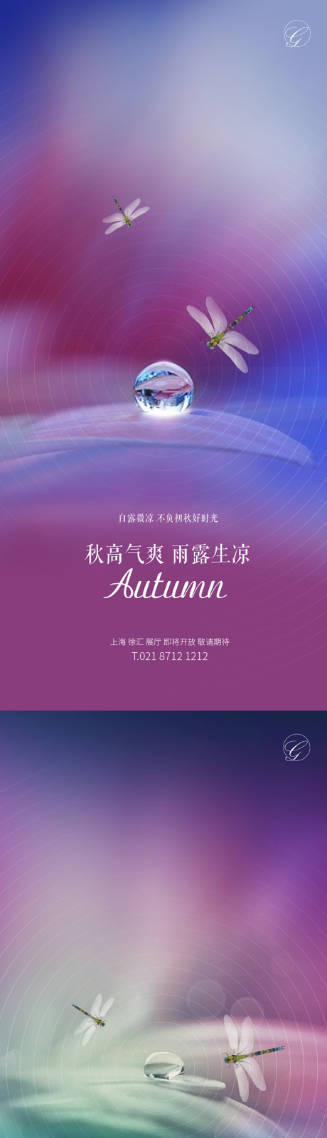 编号：20200825151955507【享设计】源文件下载-白露蜻蜓炫彩系列海报