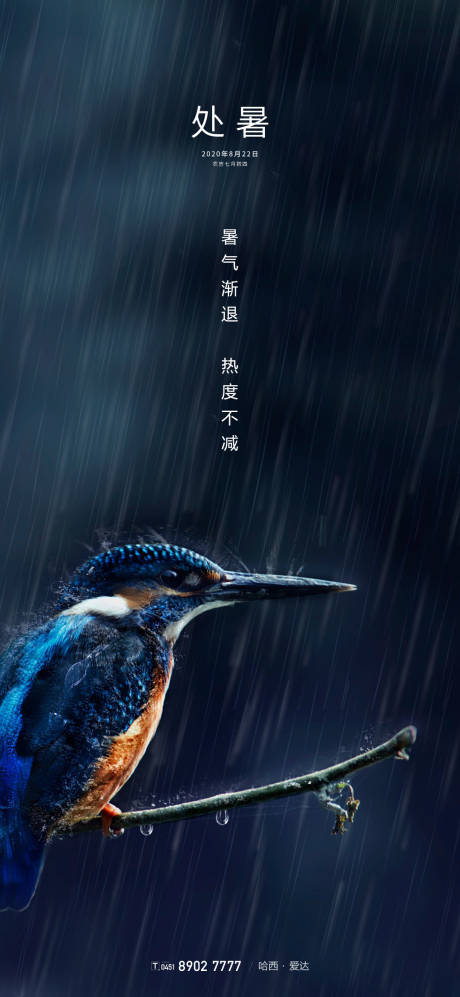 源文件下載【享設(shè)計(jì)】搜索編號：52760001556517820【處暑節(jié)氣海報(bào)】