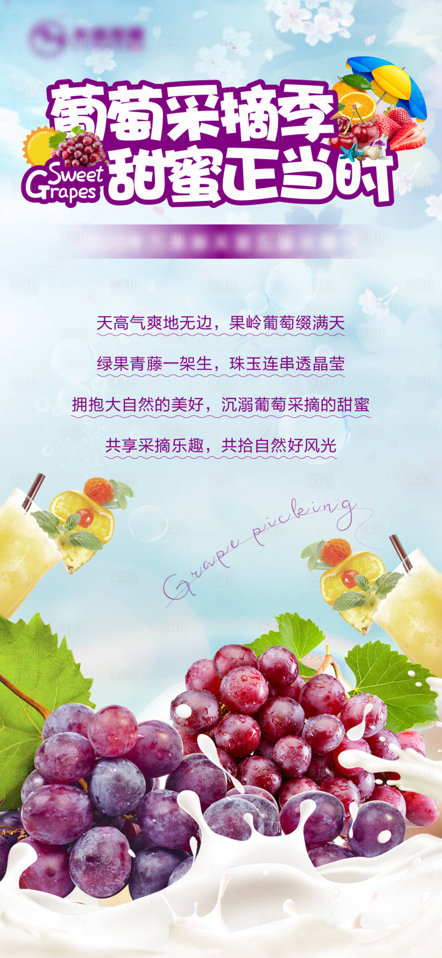 源文件下载【享设计】搜索编号：99080001674788392【葡萄采摘海报】