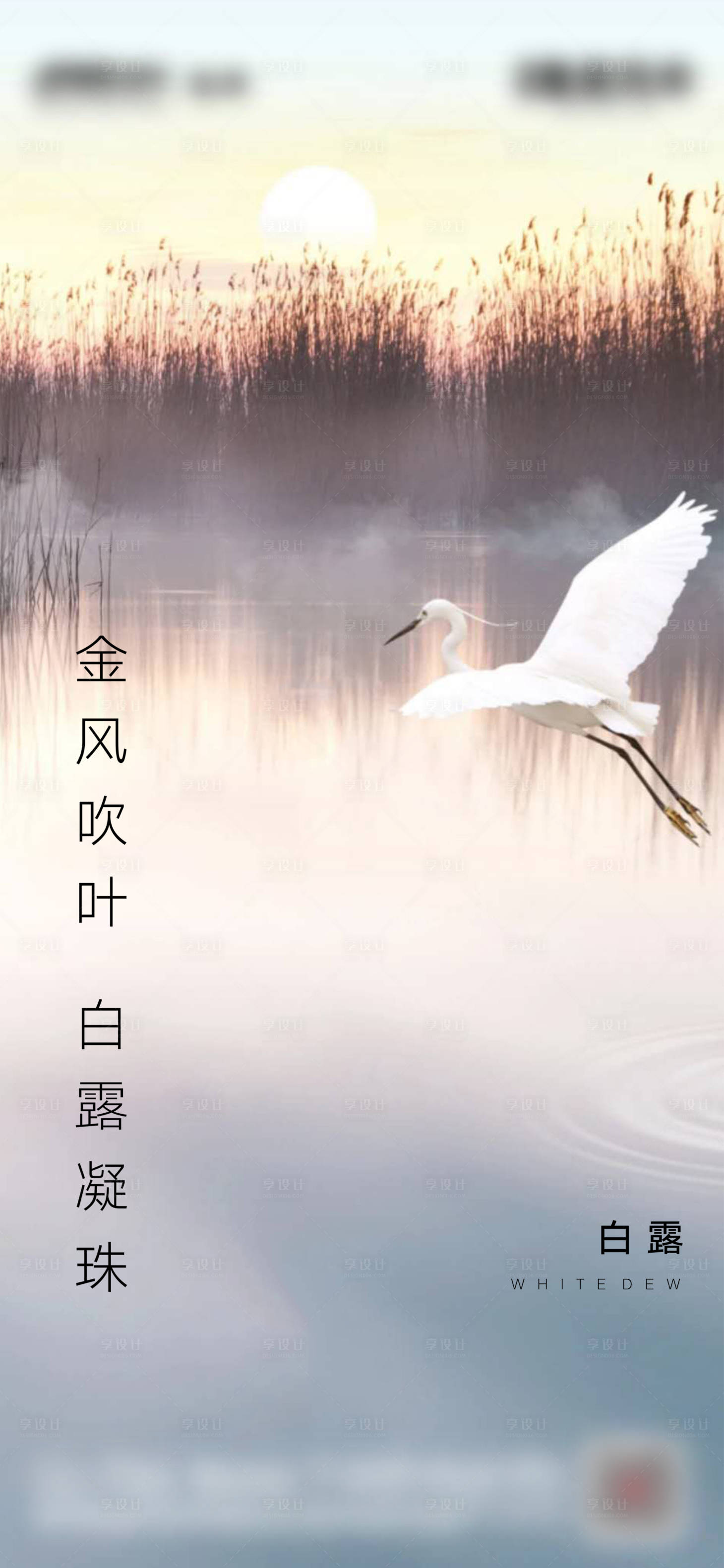 源文件下載【享設(shè)計(jì)】搜索編號(hào)：20760001820031133【地產(chǎn)白露刷屏】