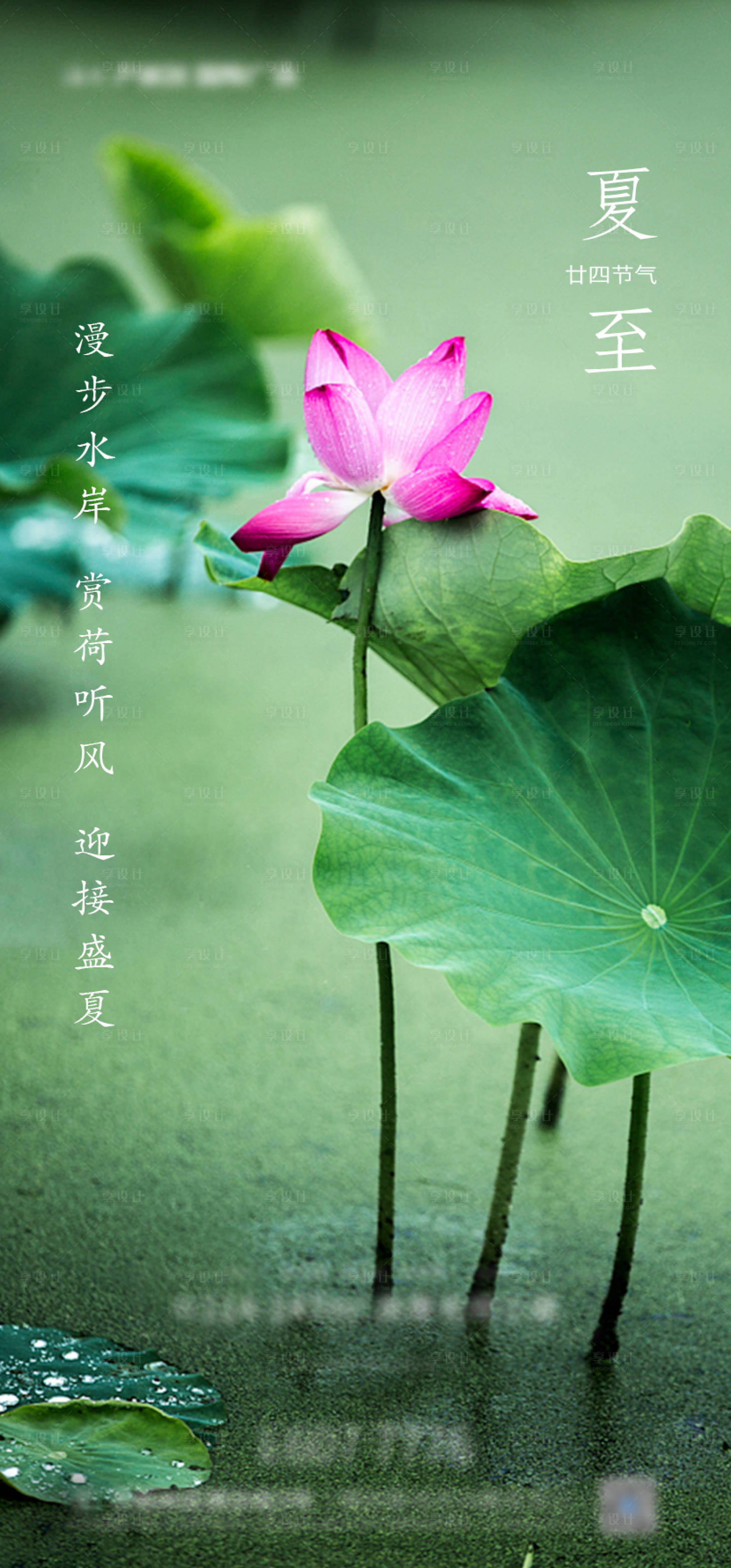 源文件下載【享設計】搜索編號：91800001654855561【夏至節氣海報 】