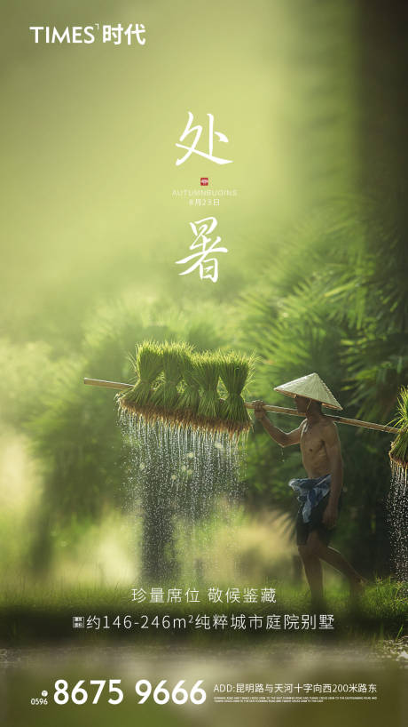 地产处暑节气移动端海报