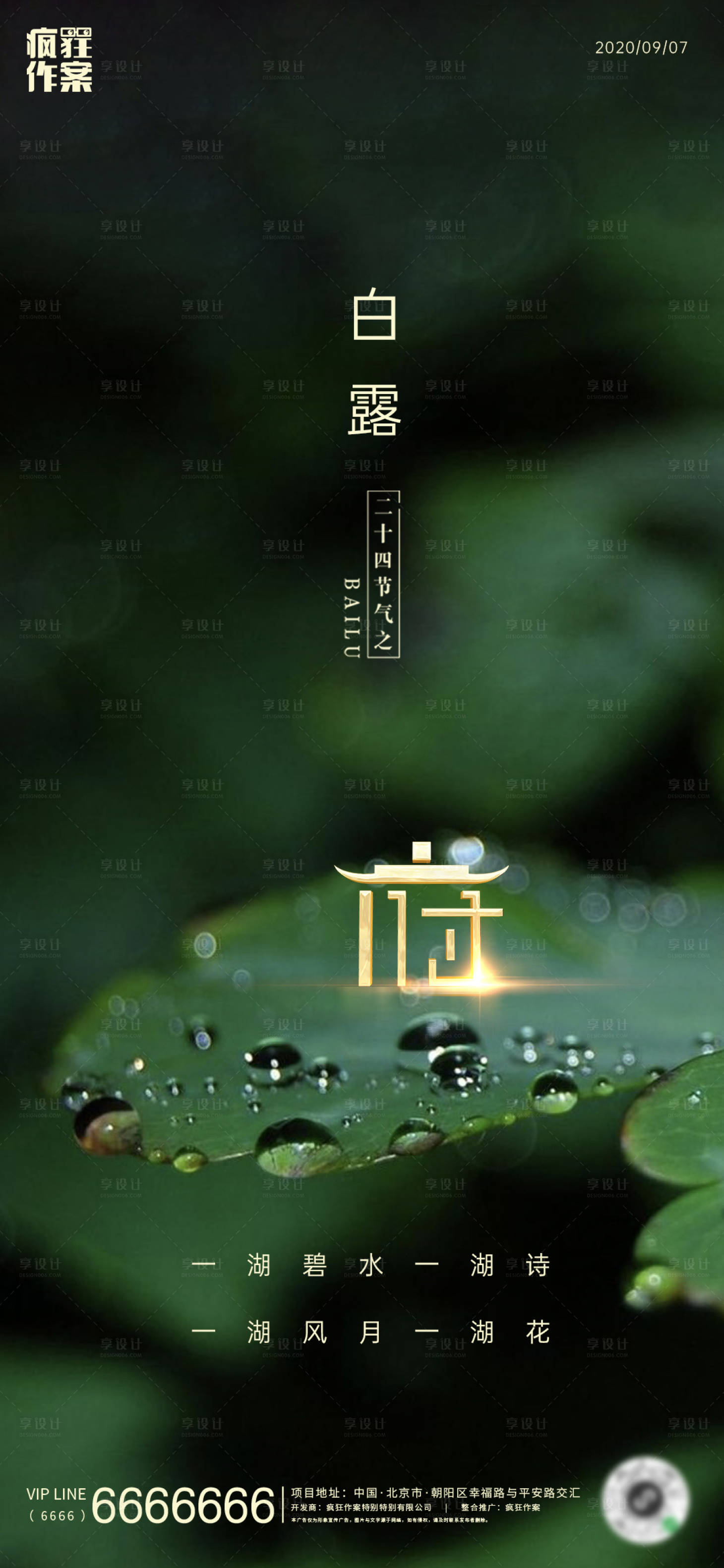 源文件下载【地产白露节气海报】编号：75220001791178240