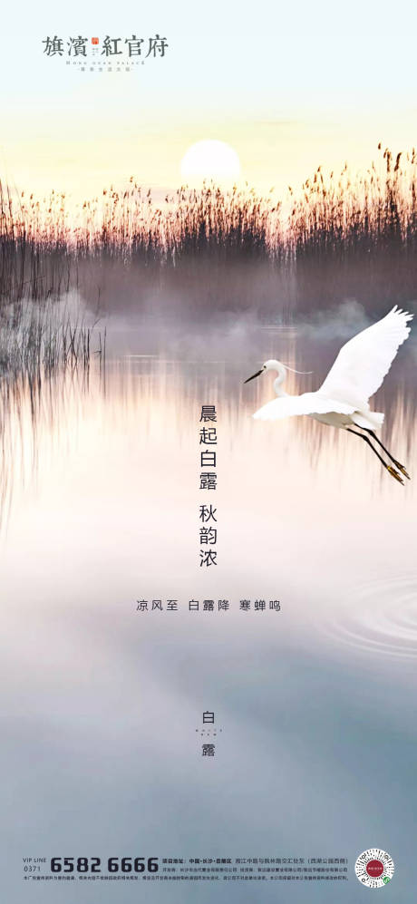 源文件下载【湖景意境白露节气海报】编号：52620001746963344